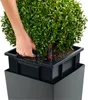 LECHUZA-Pot de fleurs CUBICO Premium 30 Scarlet Rouge Voir les images du produit 31