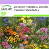 SAFLAX - Veľkí záhradní trpaslíci - Mix - 1000 Semená Náhľad obrázku produktu 4