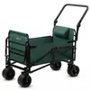 Zelsius Bollerwagen mit Liegefunktion, Grün, 100 kg Produktbild-Vorschau 1