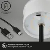 Lampada da tavolo a LED a batteria Lampada da tavolo Anteprima dell’immagine prodotto 13