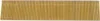 A strip of nails on a white background. Produktbild-Vorschau