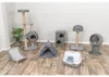 TRIXIE Outdoor Katzentoilette Davio Top mit überdachtem Produktbild-Vorschau 7