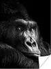 MuchoWow® Poster Gorilla - Affe - Schwarz - Weiß - Porträt Produktbild-Vorschau 1