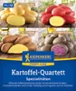 Kiepenkerl Pflanzkartoffeln Quartett Spezialitäten 12 Stück Produktbild-Vorschau 1