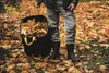 FISKARS® Ergo PopUp-Gartenabfallsack quadratisch 219 Liter Produktbild-Vorschau 12
