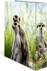 HERMA 20048 Cartella a motivi HERMA "Meerkat", DIN A4, Anteprima dell’immagine prodotto 3