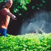 Sprühgerät , 5L Drucksprüher Pumpsprüher, Drucksprühgerät Produktbild-Vorschau 10