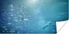 MuchoWow® Poster Ein großes Aquarium mit Tieren aus dem Produktbild-Vorschau 1