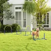 PawHut agility-trainingsapparatuur voor honden, honden Productafbeelding-voorbeeld 2