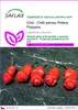 SAFLAX - Chili - Chilli penisu Petera Peppera - Capsicum Náhled obrázku produktu 1