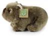 Plüsch-Wombat 20 cm, umweltfreundlich Produktbild-Vorschau 2