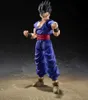 Dragon Ball Super: Super Hero S.H. Figuarts Actionfigur Produktbild-Vorschau 2