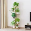 A multi-tiered plant stand filled with various potted plants is placed in a room next to a curtain and a television stand. Náhľad obrázku produktu
