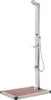 Gartendusche mit Brauner Bodenplatte 225 cm Edelstahl Produktbild-Vorschau 1