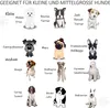 PawHut Absperrgitter Hund 6-teilig, 432 x 70 cm Faltbar Produktbild-Vorschau 4