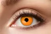 Kontaktlinsen Zoelibat Eyecatcher Halloween Orange Produktbild-Vorschau 1