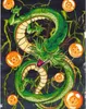 Malen nach Zahlen Dragon Ball Shenron 40x50 cm Produktbild-Vorschau 1