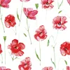 Coloray Fototapete 250x250 cm An Einer Wand Latex Produktbild-Vorschau 2