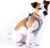 Curli Glow Clasp Vest harnais gris réfléchissant XL Voir les images du produit 8