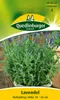 Lavendel | Lavendelsamen von Quedlinburger Produktbild-Vorschau 1