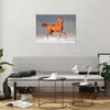 Bilder auf glas - Tiere Pferd Galopp Geschwindigkeit - Produktbild-Vorschau 6