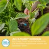 Gardena MDS Tête goutte à goutte en ligne 2 l/h GARDENA Voir les images du produit 22