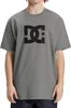 DC Shoes Herren Star T-Shirt aus grauer Baumwolle mit Logo Produktbild-Vorschau 1