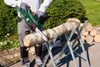 A person is using a cordless chainsaw to cut a log that is supported by a sawhorse. Produktbild-Vorschau
