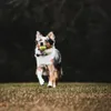 BOT Tennisbälle für Hunde - 6,5 cm (6 Stk.) Produktbild-Vorschau 4