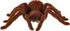 Zdalnie sterowany pająk TARANTULA + PILOT Podgląd zdjęcia produktu 8