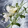 Guerlain Aqua Allegoria Herba Fresca woda toaletowa unisex Podgląd zdjęcia produktu 10
