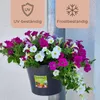 Blumentopf für Regenrohr Fallrohr Blumentopf Regenrohr Produktbild-Vorschau 3