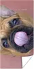 MuchoWow® Poster Ein Welpe einer Französischen Bulldogge Produktbild-Vorschau 1
