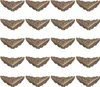 A grid of antique-style metal corner protectors for boxes or furniture. Náhled obrázku produktu