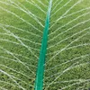 Jardin Tuyau Goutte Système d'irrigation flexible 15M Voir les images du produit 9