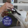 Canosept Zahnpflege Dental Gel für Hunde 100 g Produktbild-Vorschau 3