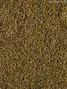 Bockshornkleesamen ganz - Bockshornklee Samen - Tee - Produktbild-Vorschau 4