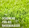 Close-up of green grass with German text overlay. Produktbild-Vorschau