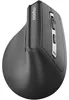 Rapoo EV310M, draadloze ergonomische muis, donkergrijs Productafbeelding-voorbeeld 2