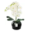 Blumentopf Blumenübertopf Schwarz Kugel Blumenschale mit Produktbild-Vorschau 1