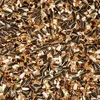 Versele Laga Nahrung - Prestige Großsittiche Standard 20kg Produktbild-Vorschau 3