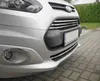 Modanature griglia radiatore Modanature griglia per Ford Anteprima dell’immagine prodotto 11