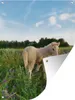 MuchoWow® Produktbild-Vorschau 1