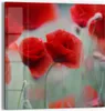 DEQORI Glasbild Echtglas 50x50 cm 'Mohnblütenzauber' Produktbild-Vorschau 1