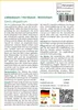 SAFLAX - Liebesbaum / Herzbaum - 60 Samen - Cercis Produktbild-Vorschau 3