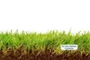 2 x 10kg HaGaFe Rasendünger für Mulchmäher und Mähroboter, Produktbild-Vorschau 4