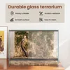 vidaXL Terrarium mit Speicher Transparent 40 x 30 x 30 cm Produktbild-Vorschau 6