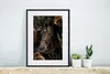 MuchoWow® MuchoWow® Gerahmtes Poster Pferd - Pflanzen - Produktbild-Vorschau 6