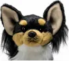 Close-up studio shot of a stuffed chihuahua dog. Produktbild-Vorschau