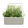 A close-up of a rosemary plant growing in a smart garden. Anteprima dell’immagine prodotto